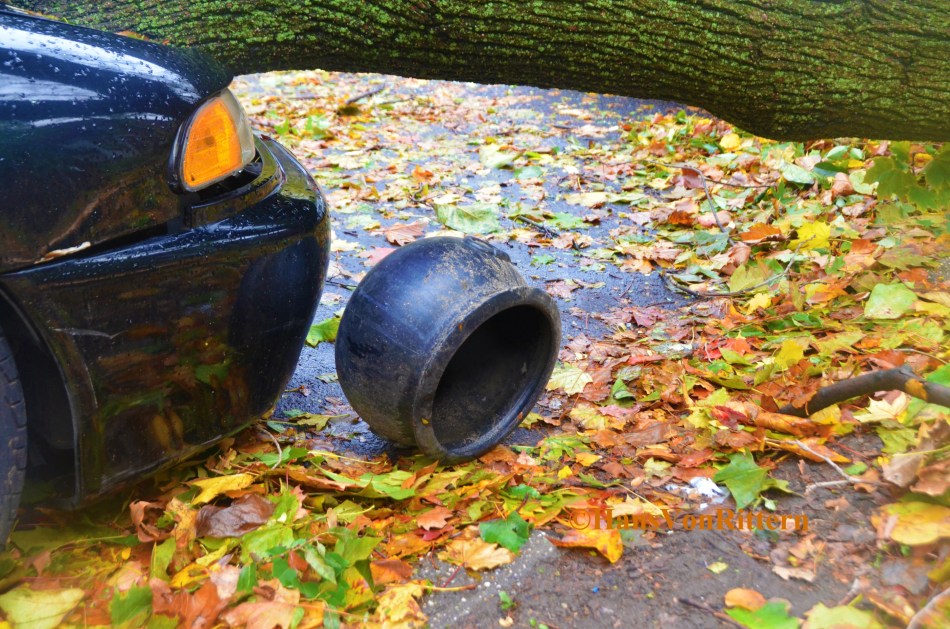 NEW YORK HALLOWEEN 2012