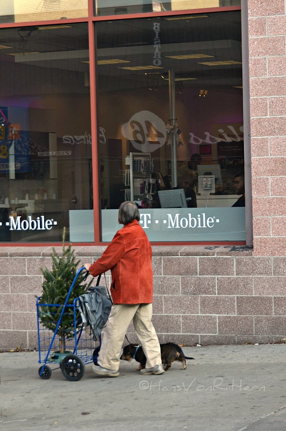 Photo of the day: SNOOPY BRINGS HOME HIS CHARLIE BROWN CHRISTMAS TREE