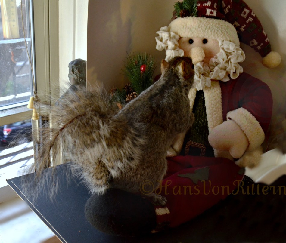 SQUIRREL MEETS SANTA CLAUS