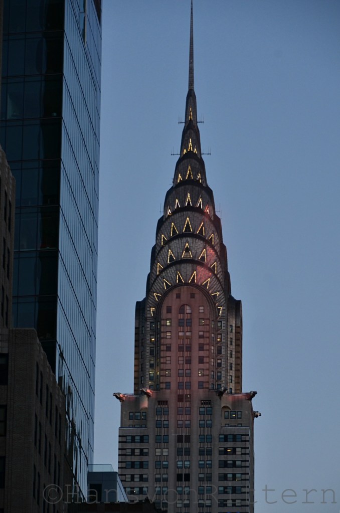 RARE RED REFLECTIONS