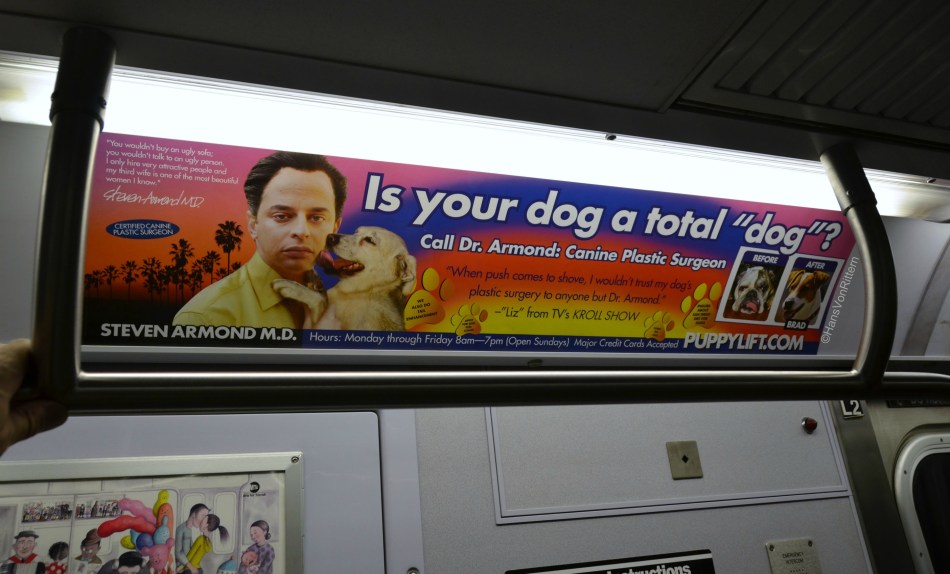 CANINE PLASTIC SURGEON