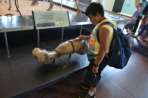 A sense of wonderment