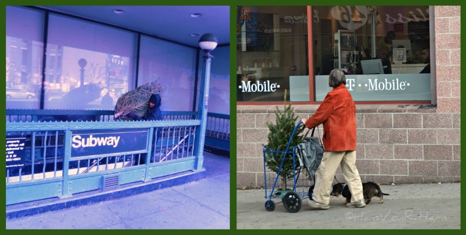 CHRISTMAS TREE COLLAGE