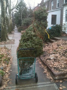Mine came home via mom's mint green Floridian shopping cart 