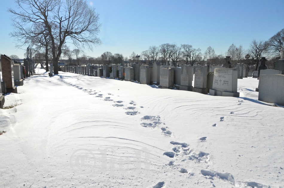 Calvary Cemetery, Queens Blvd., New York